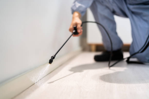 Licensed Fumigation Services service in Herrin, IL - Nex Pest Control