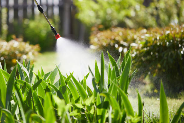 24/7 Emergency Fumigation Services experts in Herrin, IL