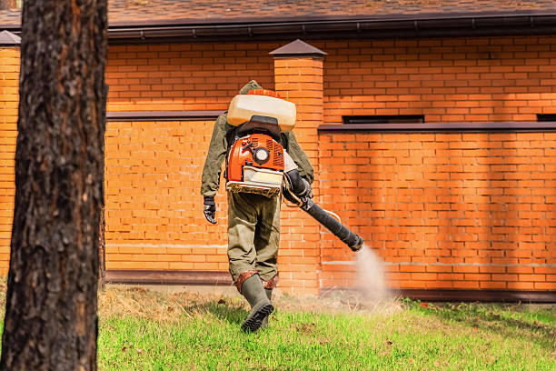 Top rated local Fumigation Services specialists in Herrin, IL